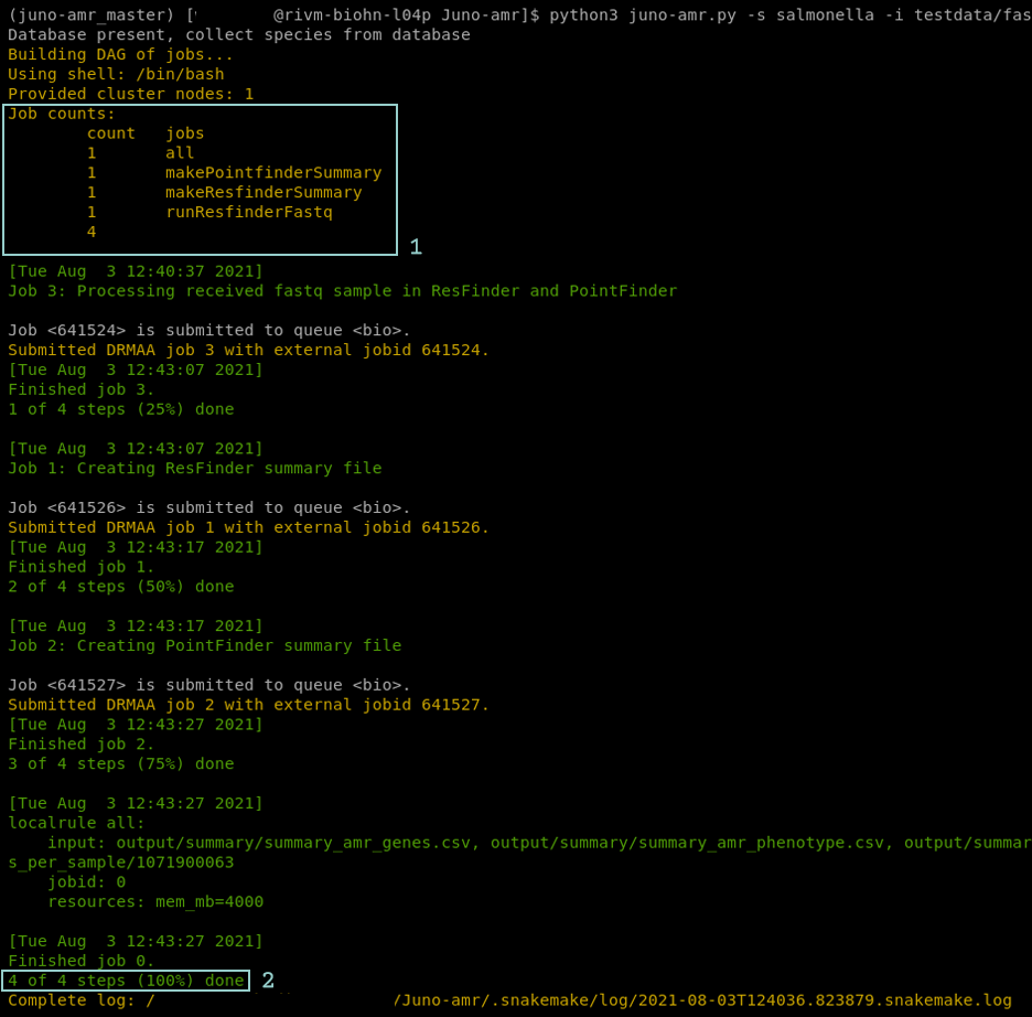 Screenshot of the Juno AMR pipeline in the terminal. The pipeline is executing all required jobs to create the requested results. The terminal shows a list of all the jobs that will be executed(step 1). Furthermore there is green and yellow text that shows the steps of the pipeline. At the bottom of the terminal there is a line that shows the pipeline is finished(step 2).